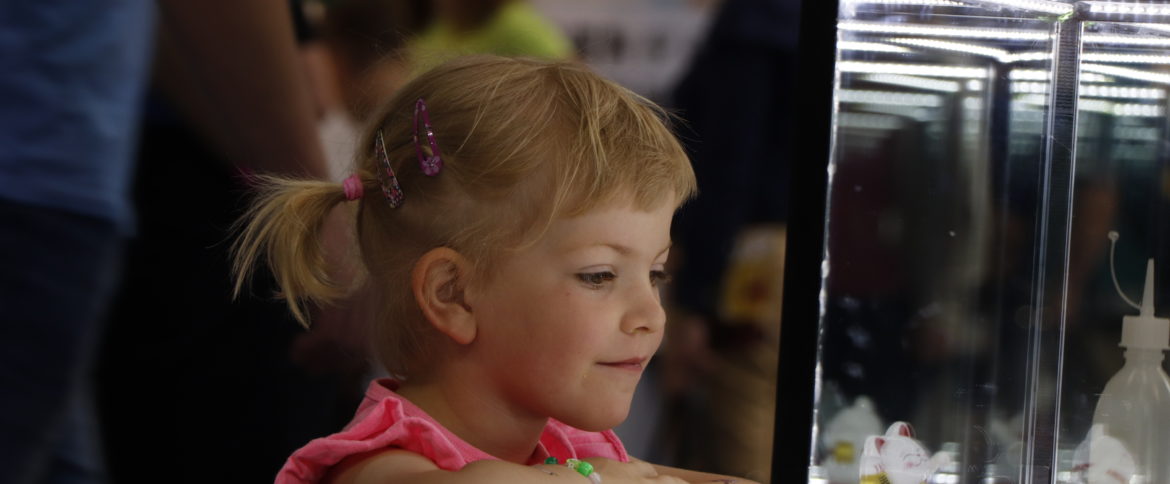 HiLASE supports local school